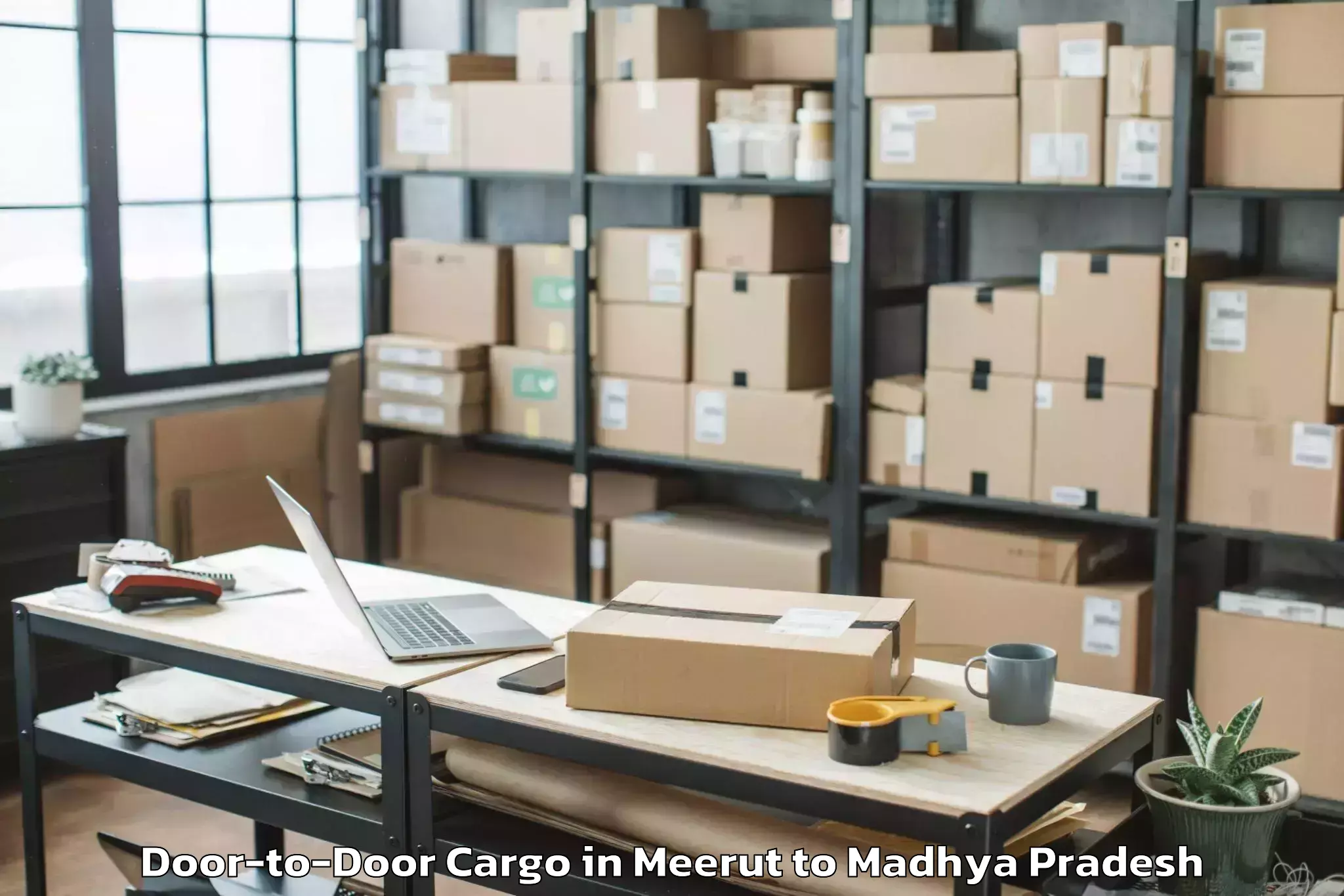 Leading Meerut to Maihar Door To Door Cargo Provider